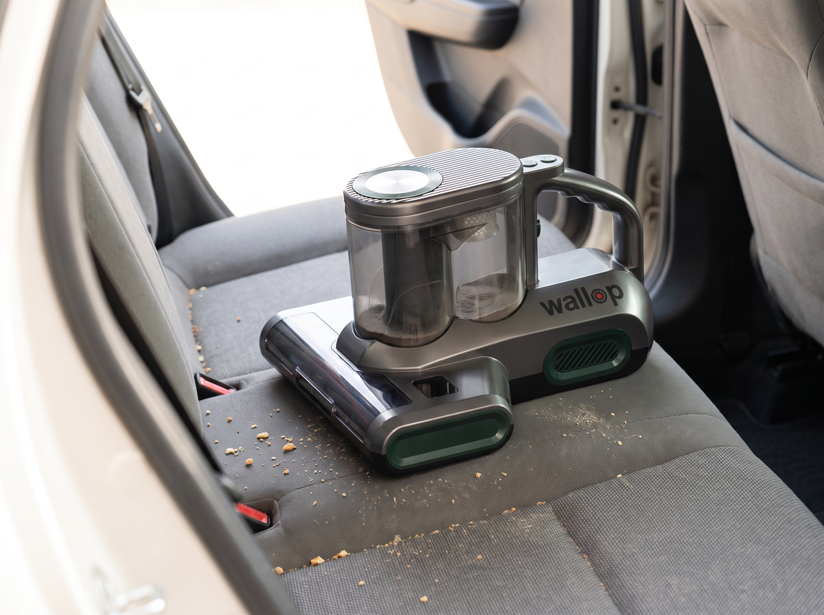 Wallop cleaning the back seat of a car